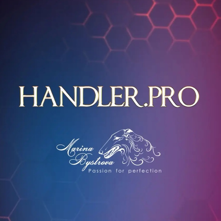 Handler.pro Хендлинг и груминг | Марина Быстрова