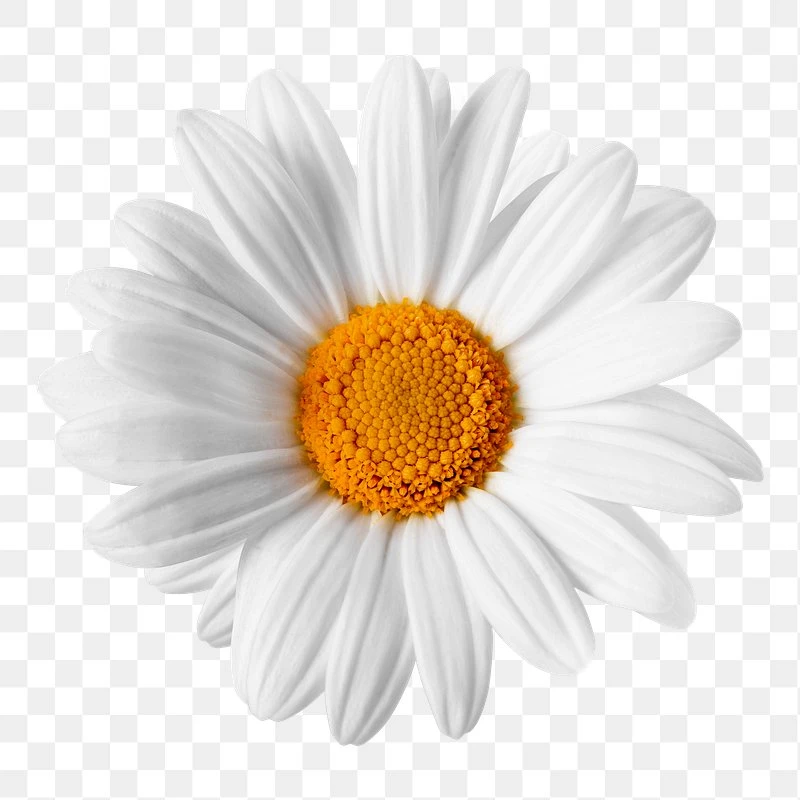 ГБУЗ АО АОПТД