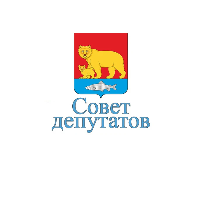 Совет депутатов Карагинского муниципального района
