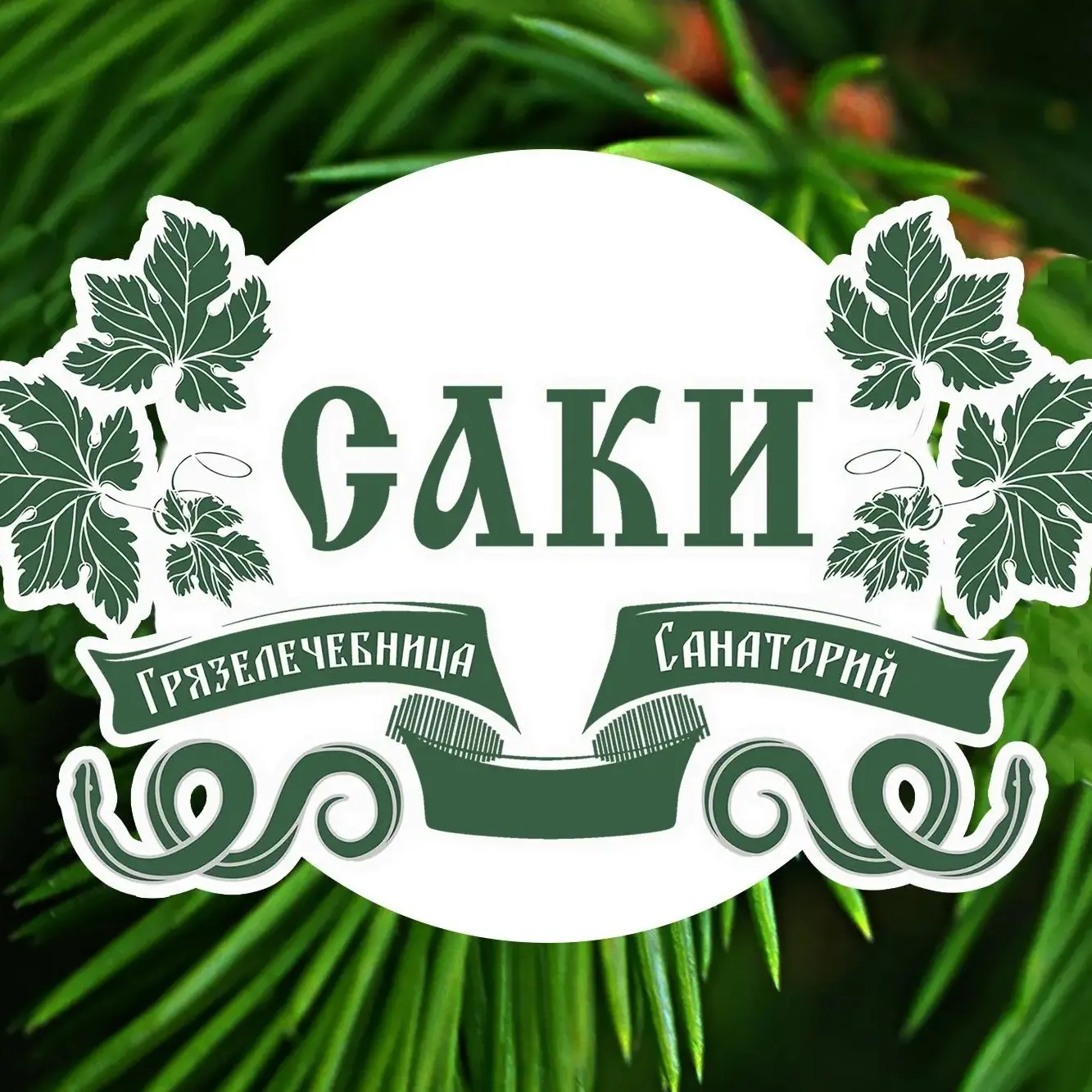 Санаторий "Саки"
