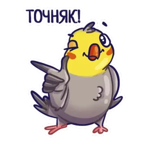 Попугайчики — стикер для MAX