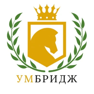 Сеть шахматных клубов "УмБридж"