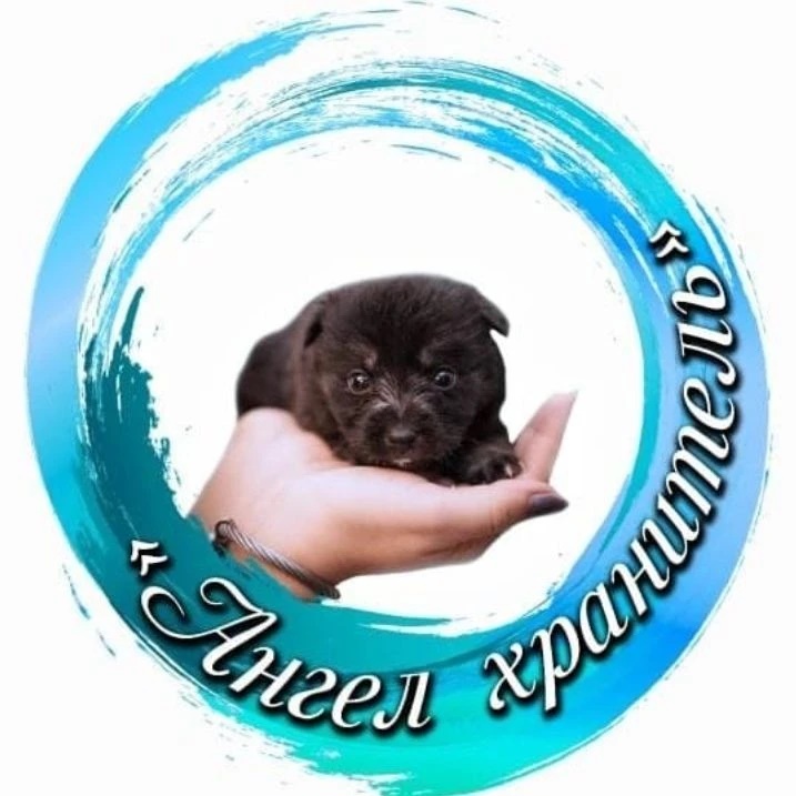 Приют "Ангел Хранитель" г. Хабаровск