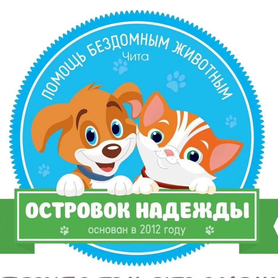 Островок надежды.Помощь бездомным животным.Чита