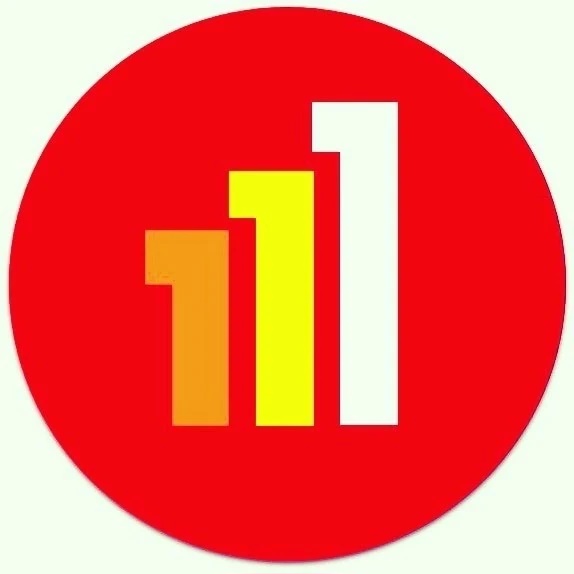 МБ НОУ "Лицей № 111", г. Новокузнецк, Кемеровская область - Кузбасс