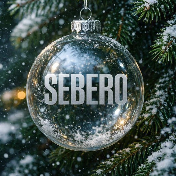 SEBERO COMPANY