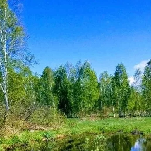 Администрация Кабинетного сельсовета Чулымского района