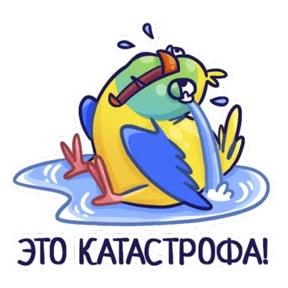 Попугайчики — стикер для MAX