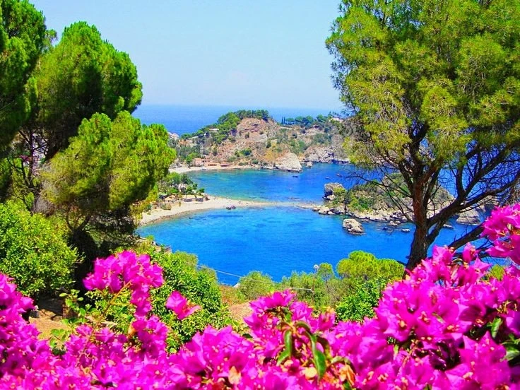 Видео для души