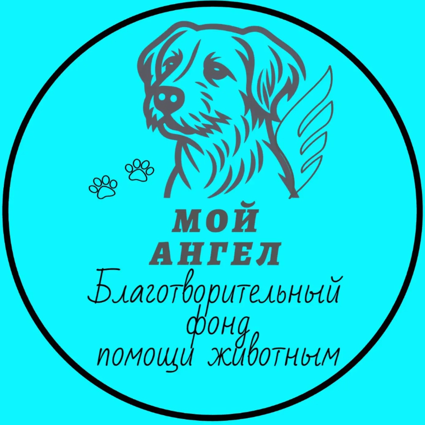 БФ"Мой Ангел"- помощь животным