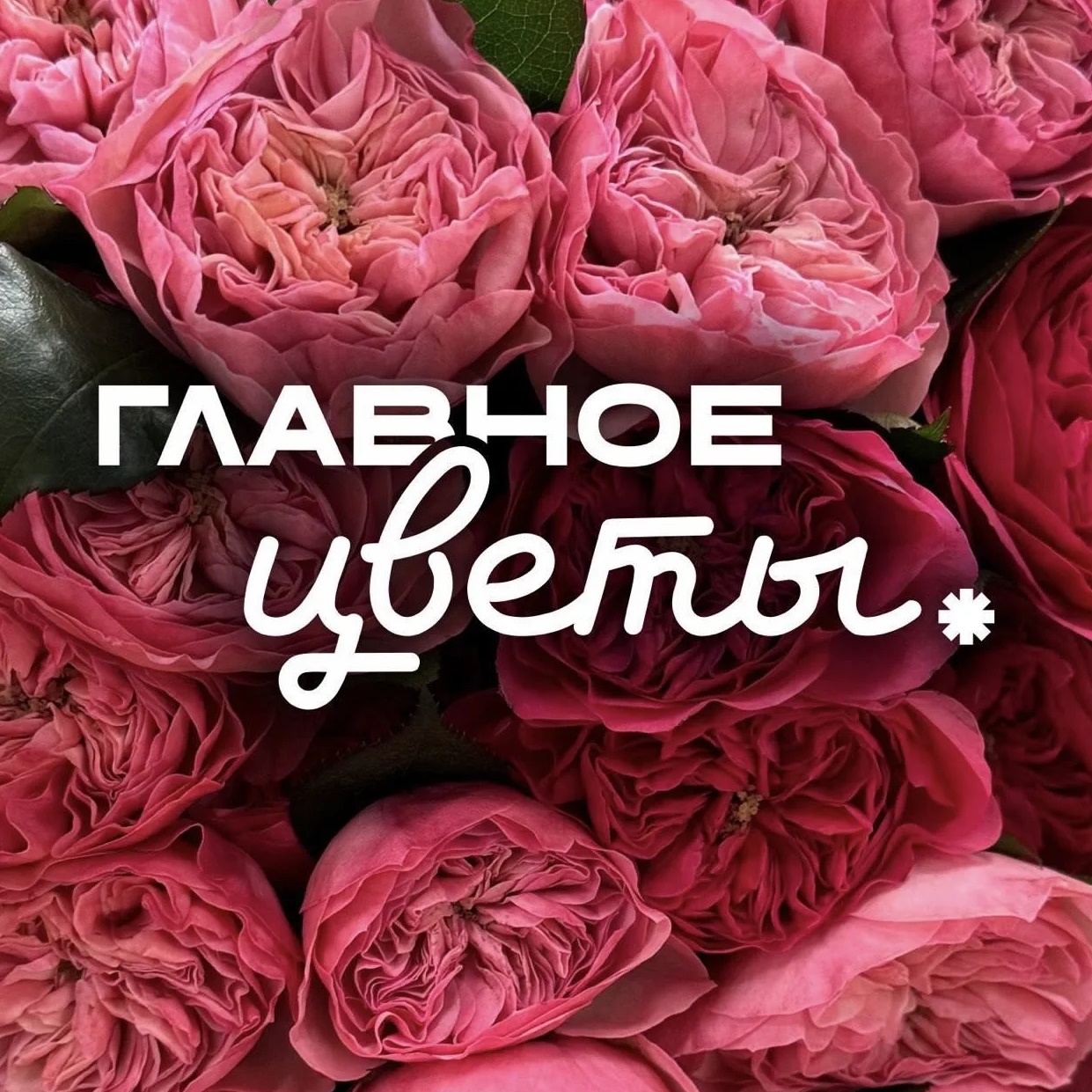 Главное Цветы | Цветы Куркино