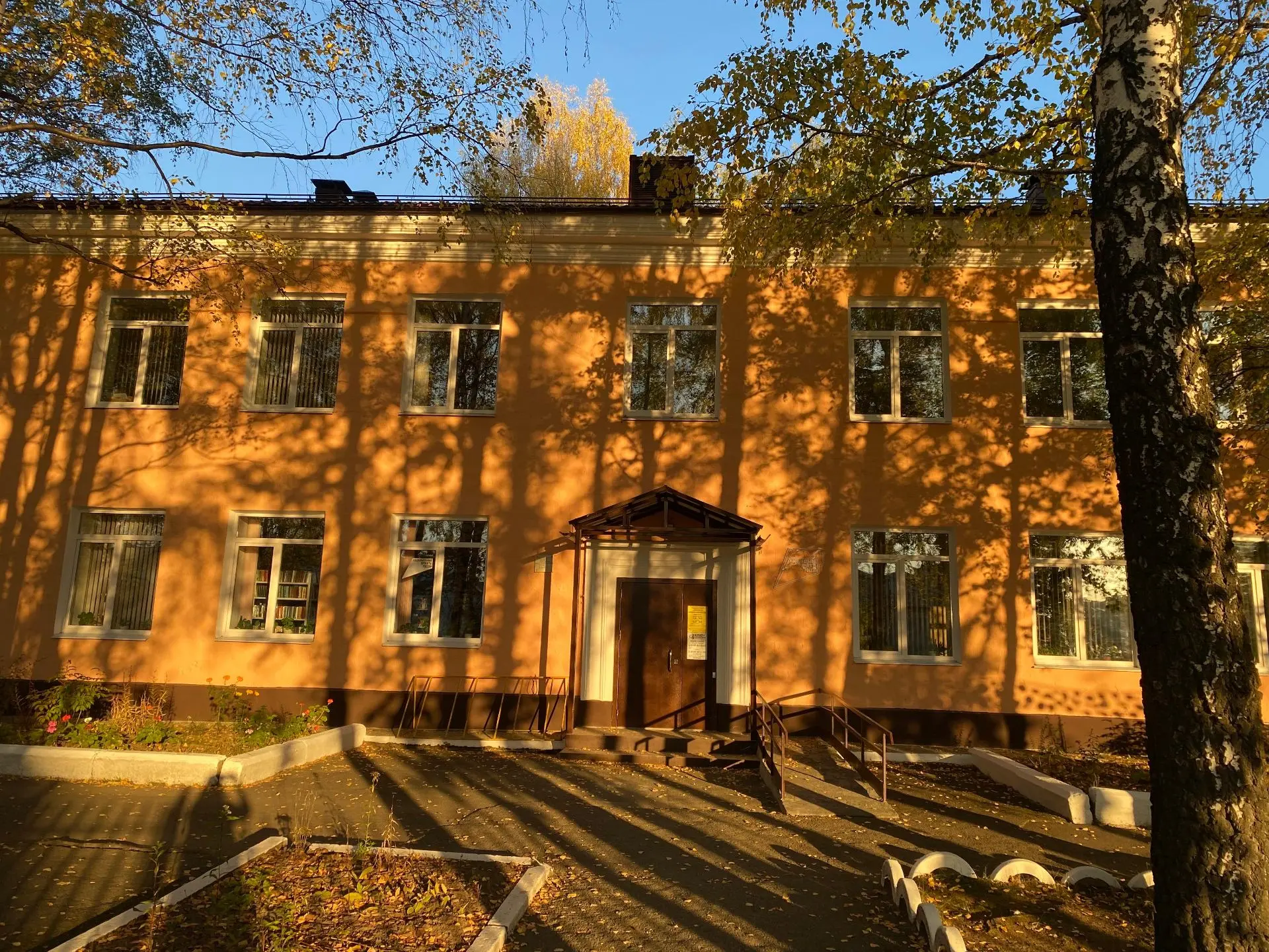 Библиотека Нижняя Салда