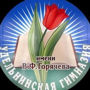 Удельнинская гимназия,Раменский муниципальный округ
