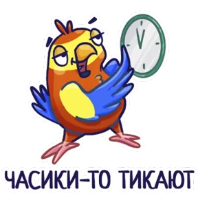 Попугайчики — стикер для MAX