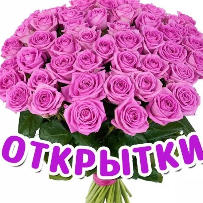 Аватар канала Поздравления и открытки