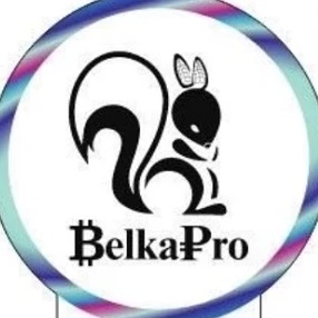 BelkaPro