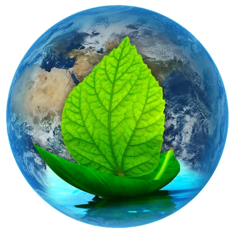 Новости МБОУ "СОШ №15"