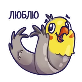 Попугайчики — стикер для MAX