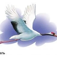 МАДОУ МО г.Краснодар "Детский сад √190"