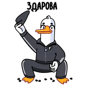 Гусь — стикер для MAX