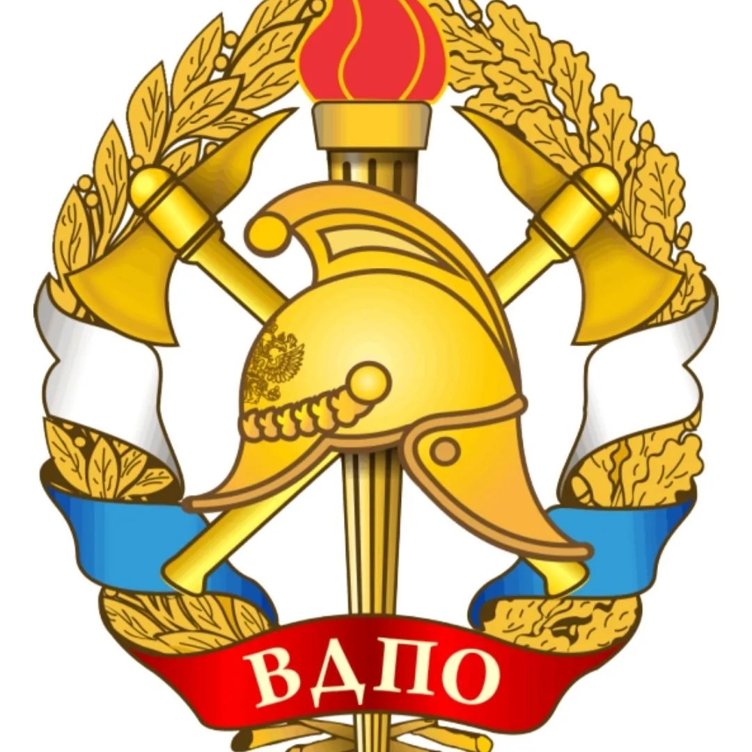 ВДПО 55