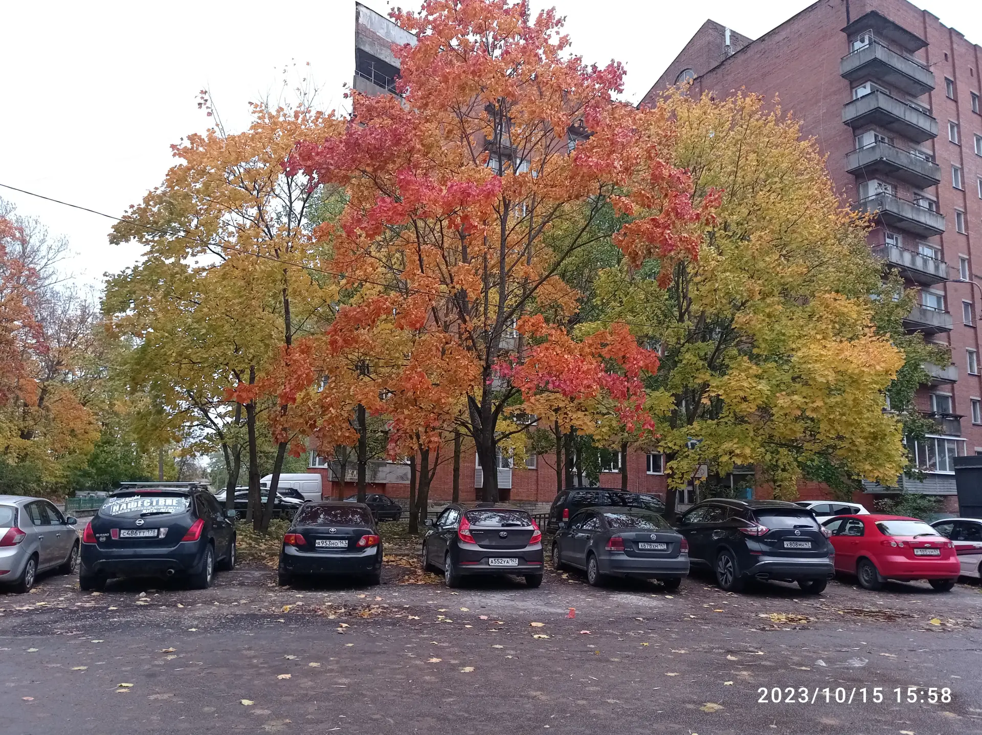ООО "СПЕЦСТРОЙ ПОМОЩЬ"