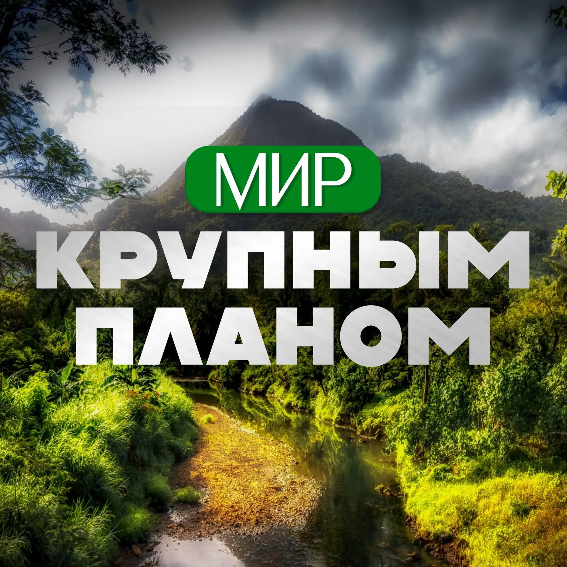 Мир крупным планом