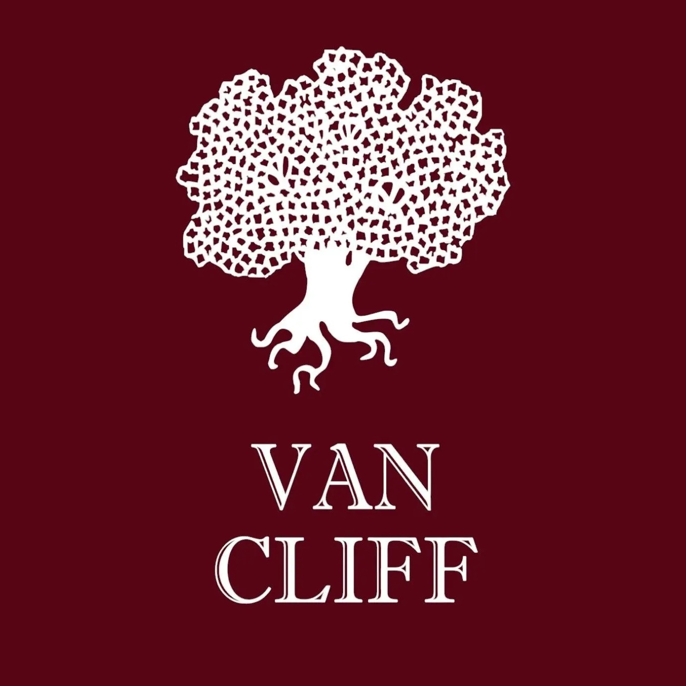 VAN CLIFF Мужская одежда
