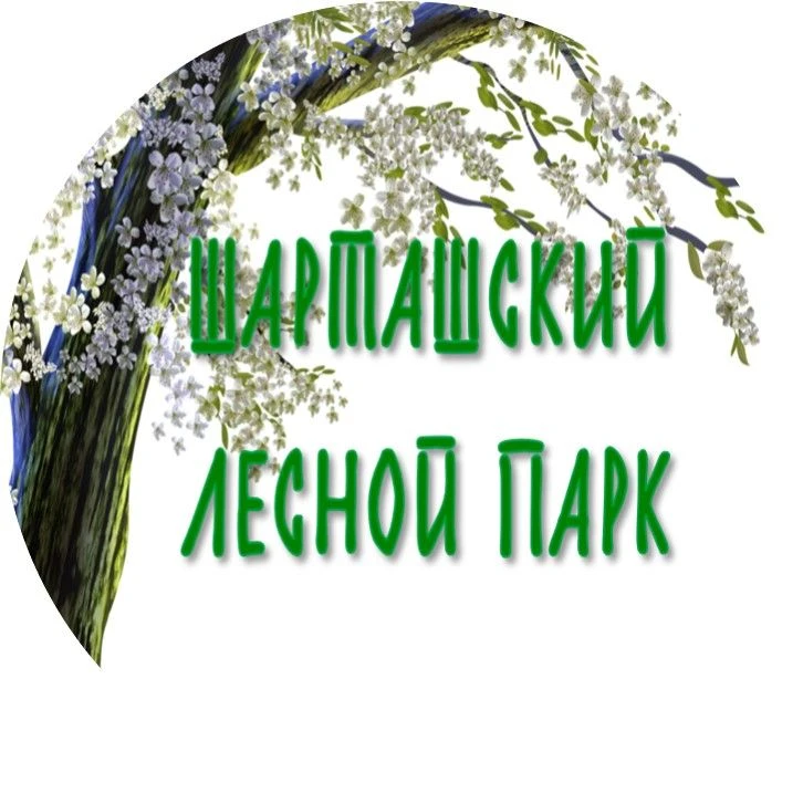 Шарташский лесной парк