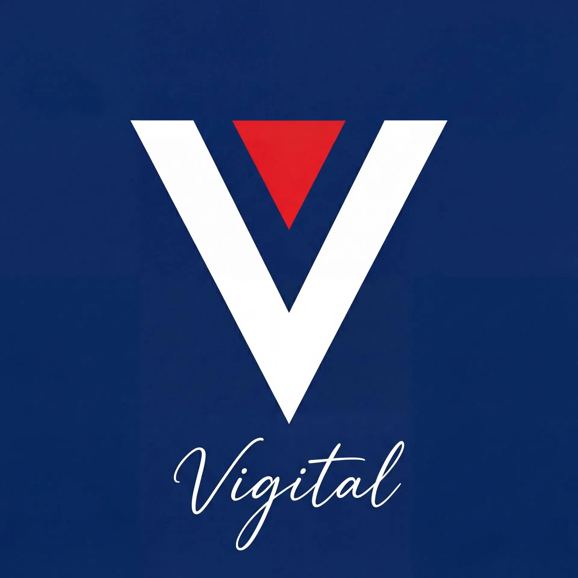 VIZOR