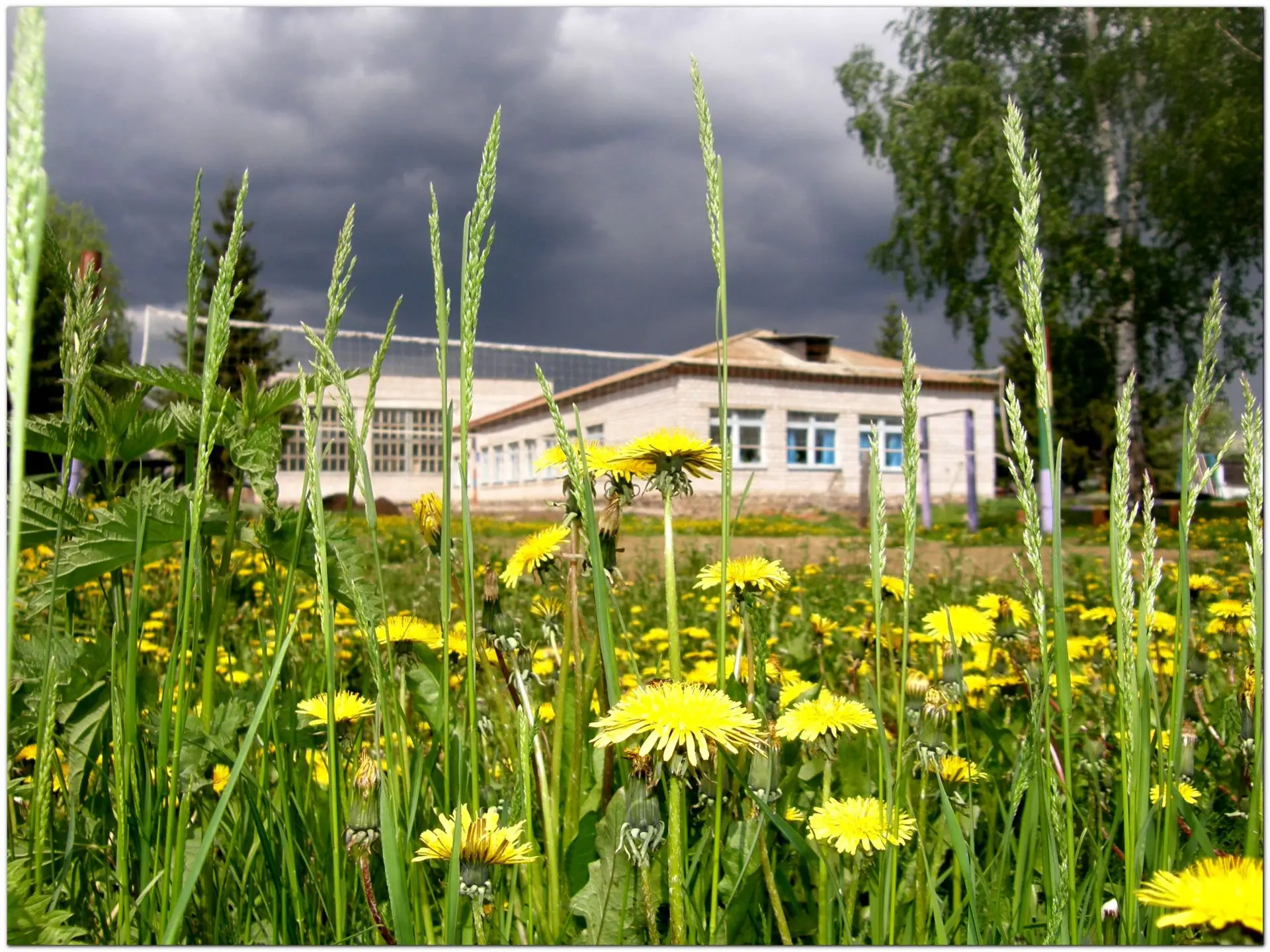 МБОУ Старокопская ООШ