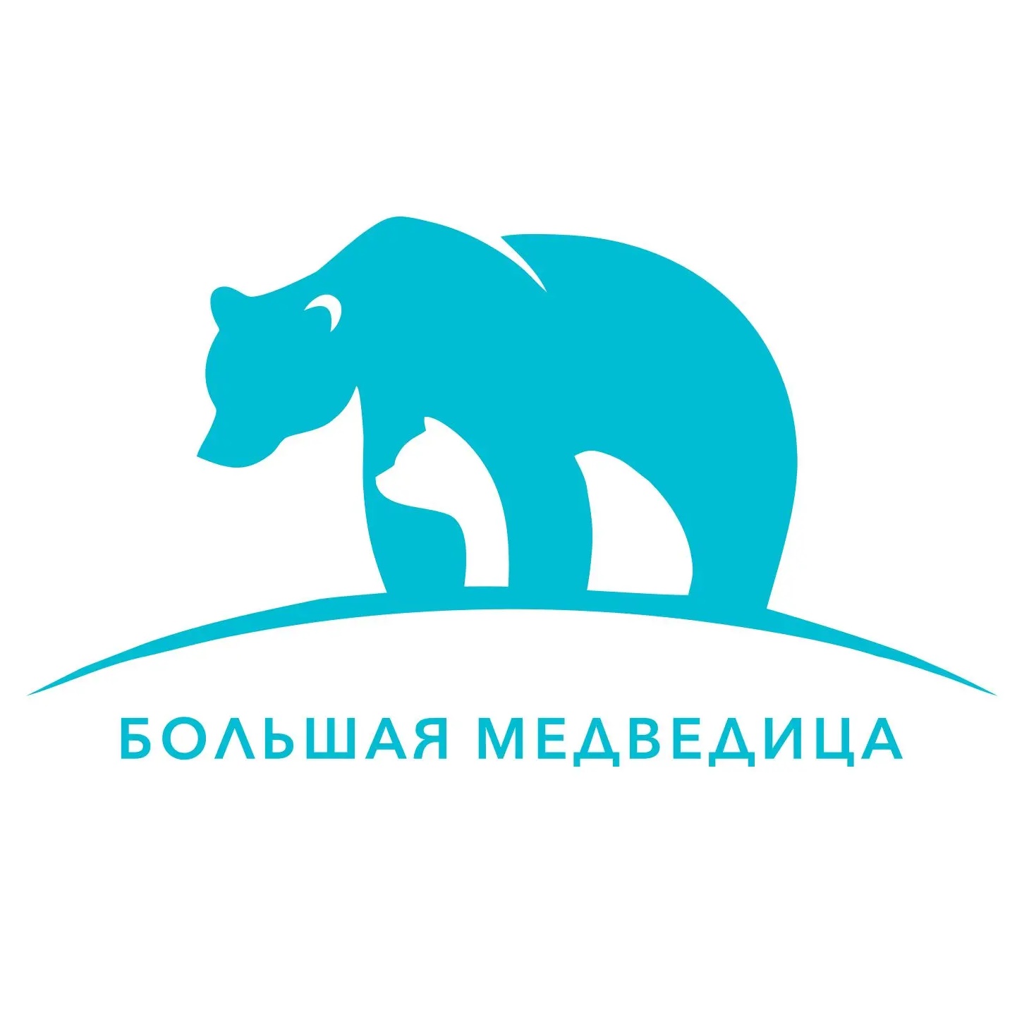 Большая Медведица