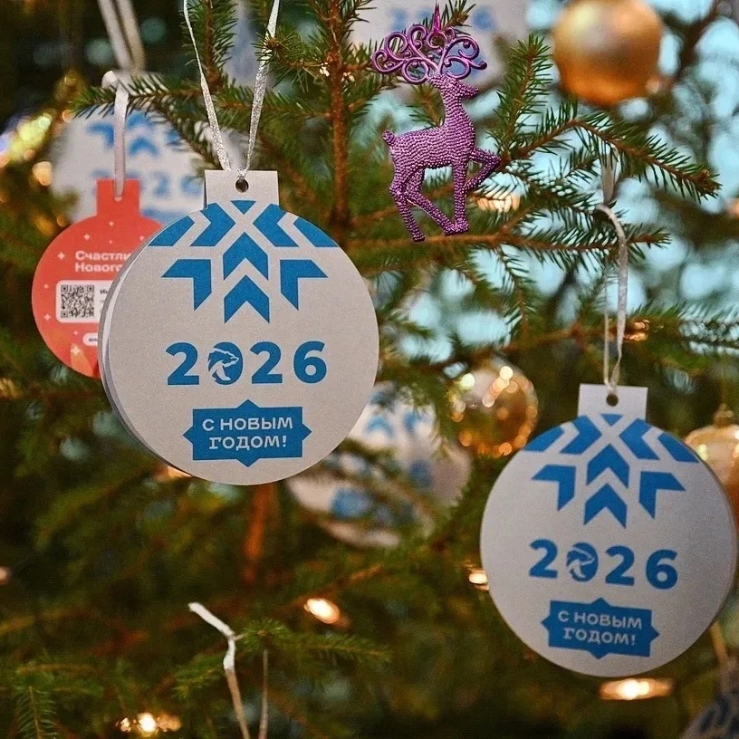 Совет депутатов Воткинского района