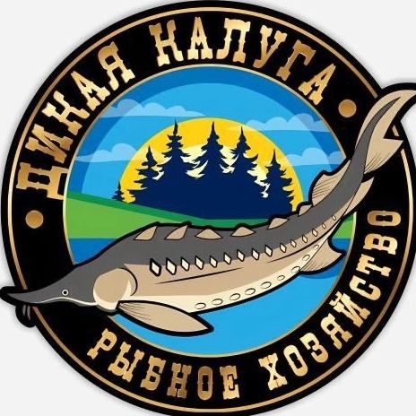 Осетровая ферма «Дикая Калуга»