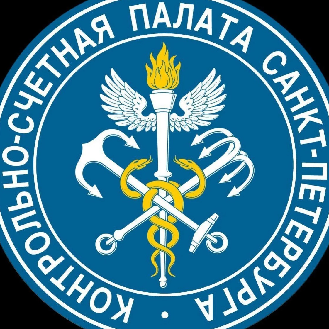 Контрольно-счетная палата Санкт-Петербурга
