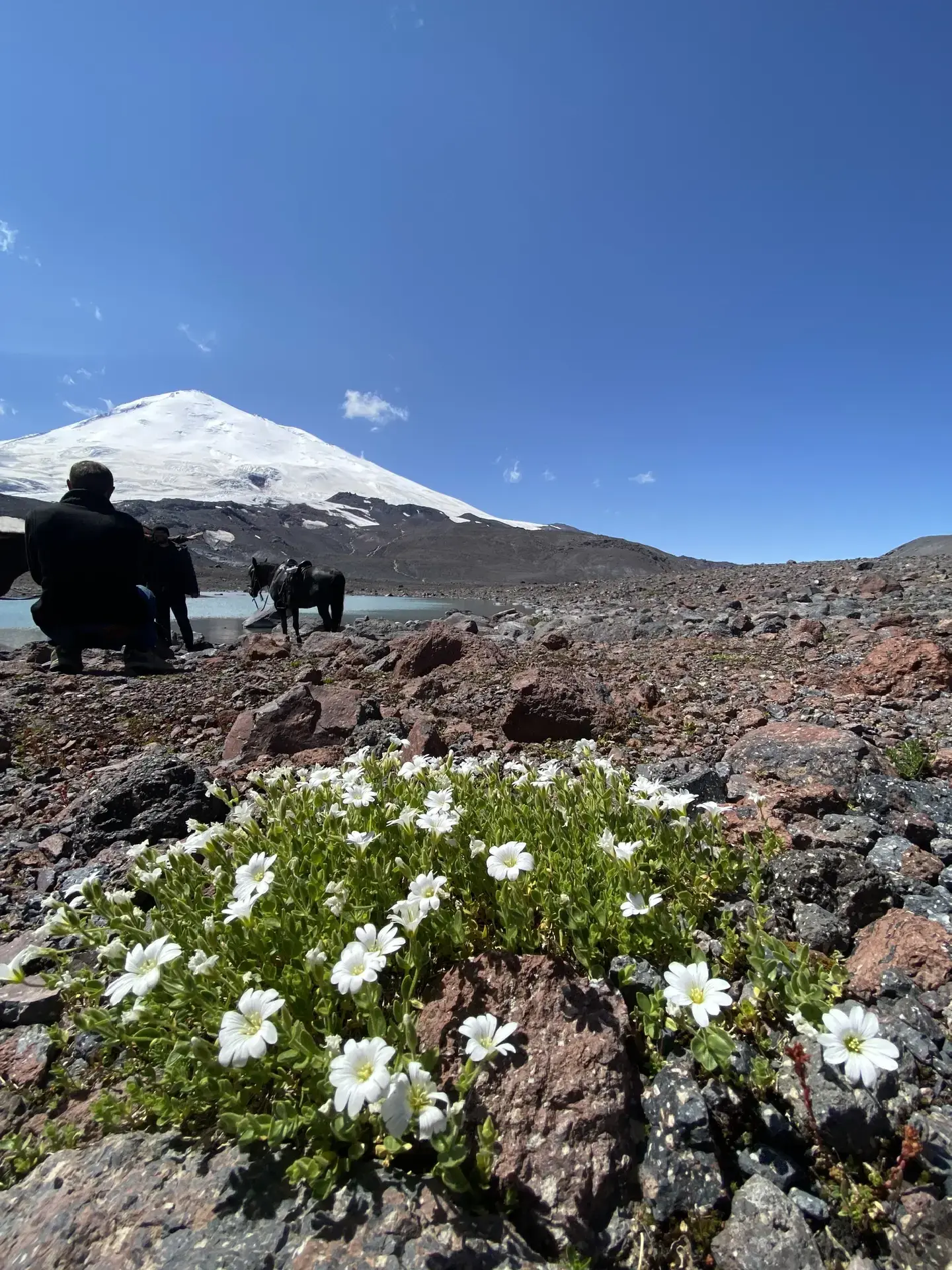 Государственное казенное лечебно-оздоровительное учреждение "Эльбрус"
