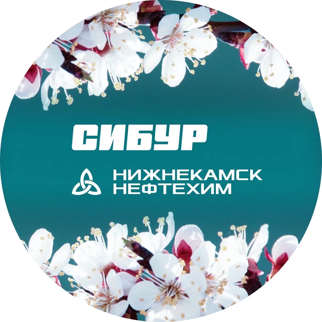 Нижнекамскнефтехим
