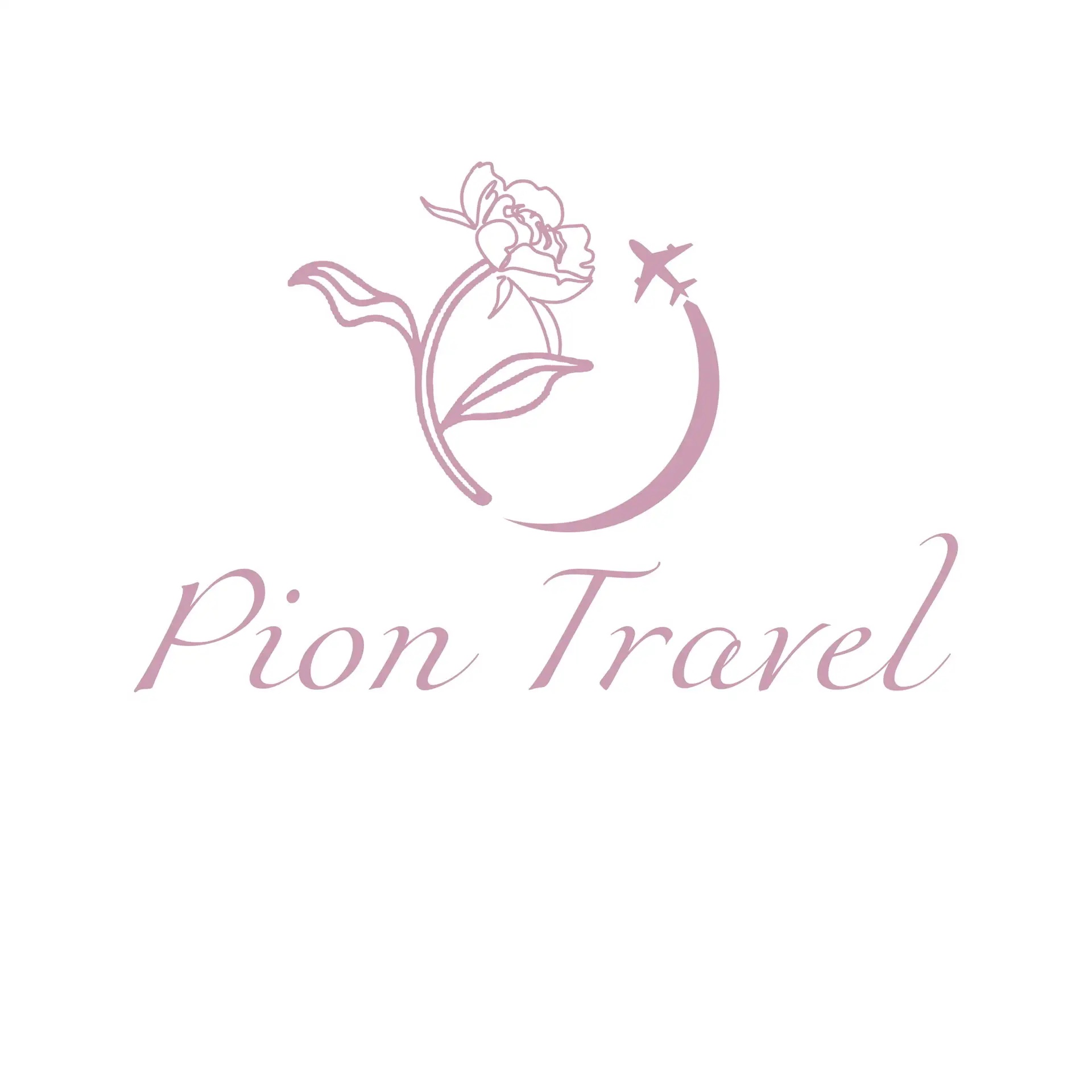 Pion Travel