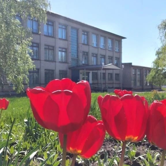 МКОУ Сагуновская СОШ