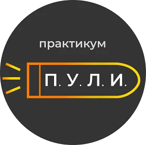 Практикум «ПУЛИ»
