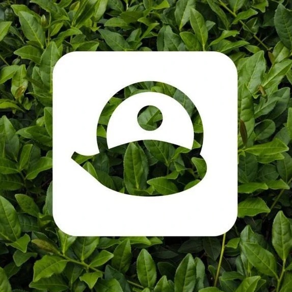 Точка Чая | Китайский чай | Чайная посуда