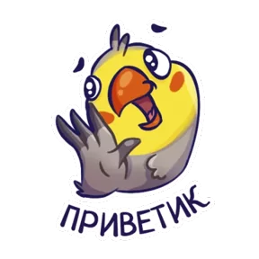 Попугайчики — стикер для MAX