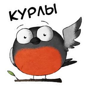 Снегирь — стикер для MAX