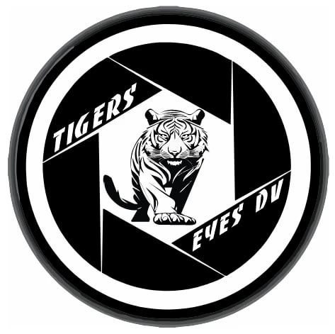 Tigers Eyes DV