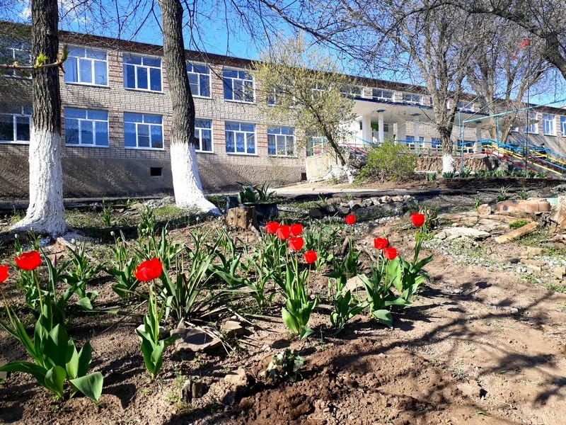 МБОУ Краснодонецкая СОШ