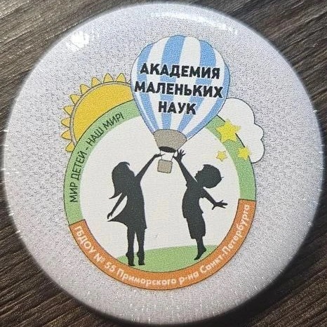 ГБДОУ N 55 Приморского района СПб "Академия маленьких наук"