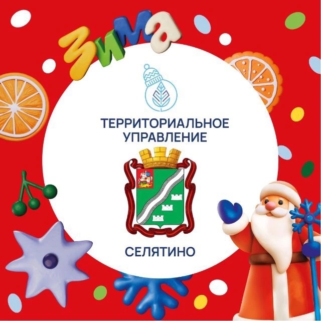 Территориальное управление Селятино