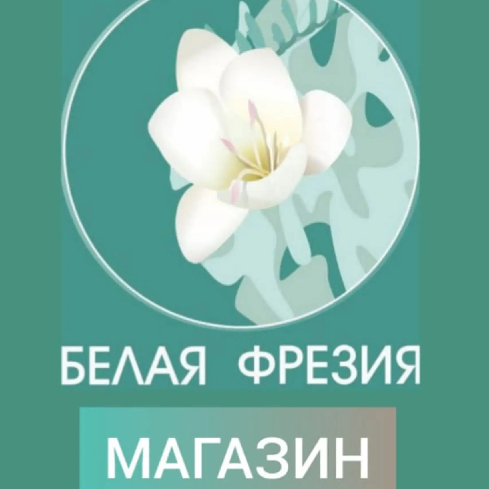 Женская одежда-belayafrezia