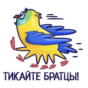 Попугайчики — стикер для MAX