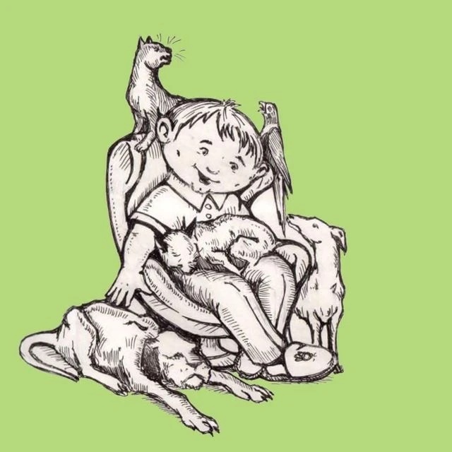 Возьми Друга Домой (собаки и кошки)